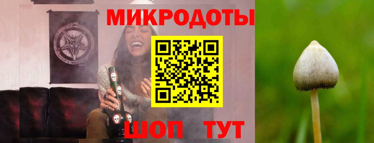 Галлюциногенные грибы Psilocybe  Вход с VPN  Качканар 
